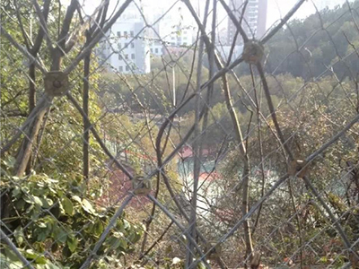 湖北黄石市白马公园防护网案例