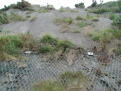 山体喷浆 山体喷浆 - 安平县佰泰金属丝网制品有限公司