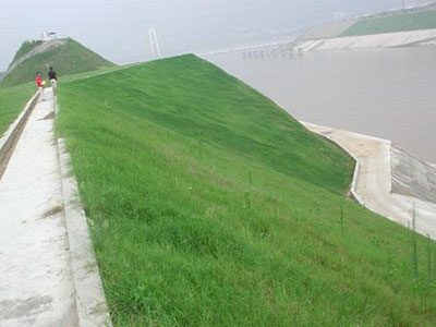 客土喷播边坡绿化施工 客土喷播边坡绿化施工 - 安平县佰泰金属丝网制品有限公司