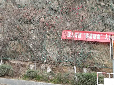 四川两河镇边坡防护工程 四川两河镇边坡防护工程 - 安平县佰泰金属丝网制品有限公司